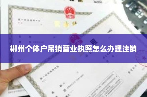 郴州个体户吊销营业执照怎么办理注销