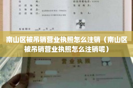 南山区被吊销营业执照怎么注销（南山区被吊销营业执照怎么注销呢）