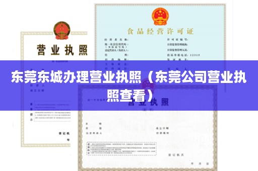 东莞东城办理营业执照（东莞公司营业执照查看）