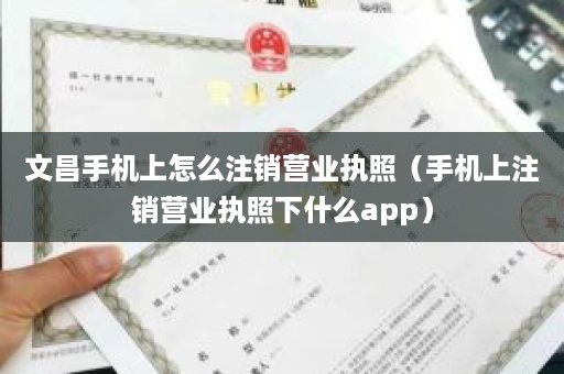 文昌手机上怎么注销营业执照（手机上注销营业执照下什么app）