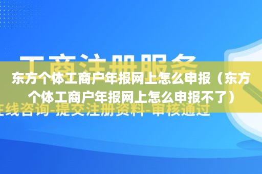 东方个体工商户年报网上怎么申报（东方个体工商户年报网上怎么申报不了）