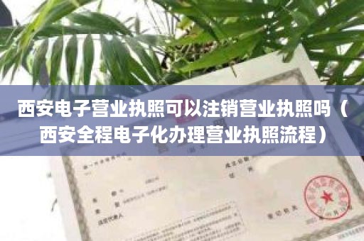 西安电子营业执照可以注销营业执照吗（西安全程电子化办理营业执照流程）