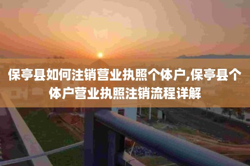 保亭县如何注销营业执照个体户,保亭县个体户营业执照注销流程详解