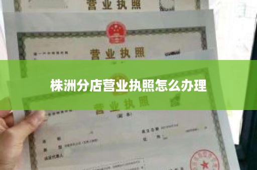 株洲分店营业执照怎么办理