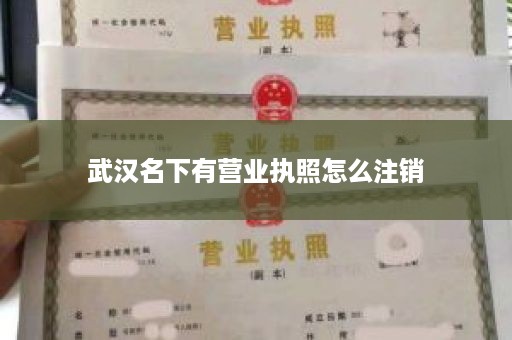 武汉名下有营业执照怎么注销