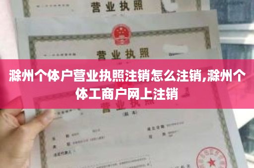 滁州个体户营业执照注销怎么注销,滁州个体工商户网上注销