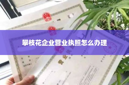 攀枝花企业营业执照怎么办理