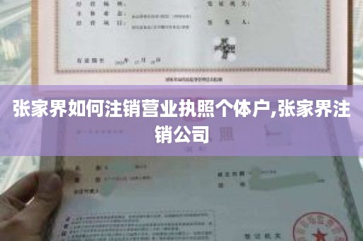 张家界如何注销营业执照个体户,张家界注销公司