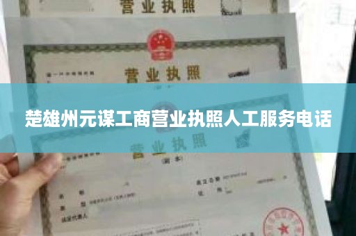 楚雄州元谋工商营业执照人工服务电话