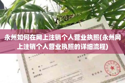 永州如何在网上注销个人营业执照(永州网上注销个人营业执照的详细流程)