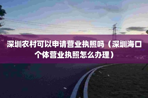 深圳农村可以申请营业执照吗（深圳海口个体营业执照怎么办理）