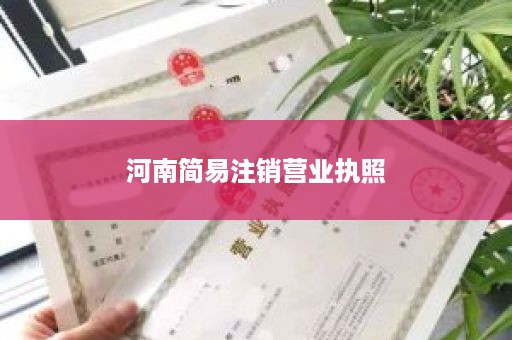 河南简易注销营业执照