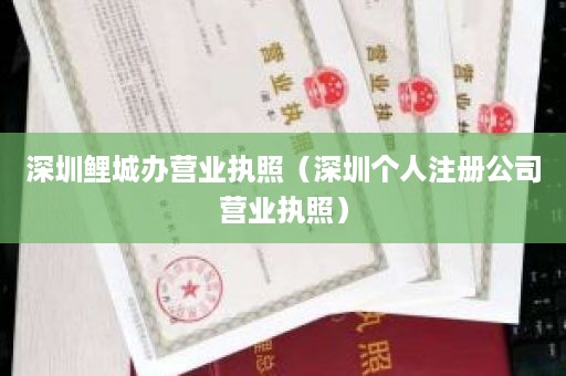 深圳鲤城办营业执照（深圳个人注册公司营业执照）