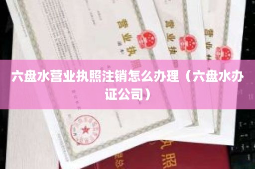 六盘水营业执照注销怎么办理（六盘水办证公司）