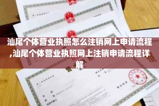 汕尾个体营业执照怎么注销网上申请流程,汕尾个体营业执照网上注销申请流程详解