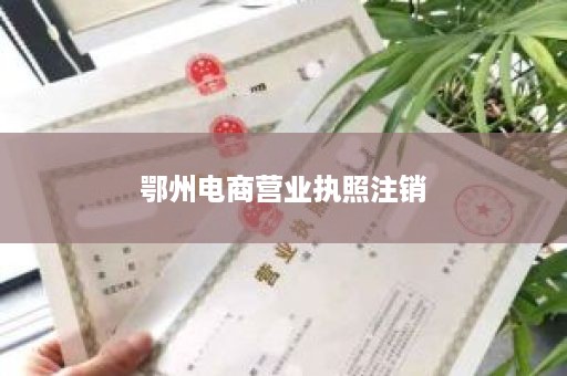 鄂州电商营业执照注销