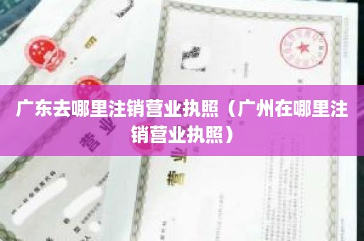 广东去哪里注销营业执照（广州在哪里注销营业执照）