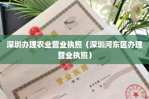 深圳办理农业营业执照（深圳河东区办理营业执照）