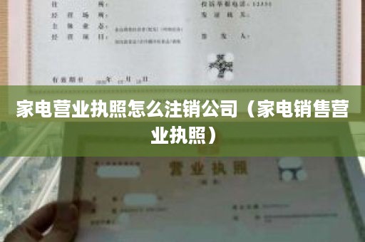 家电营业执照怎么注销公司（家电销售营业执照）