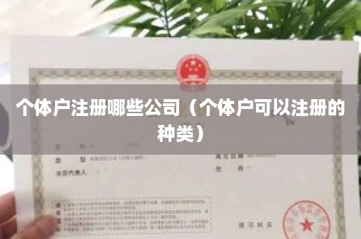 个体户注册哪些公司（个体户可以注册的种类）