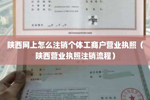 陕西网上怎么注销个体工商户营业执照（陕西营业执照注销流程）