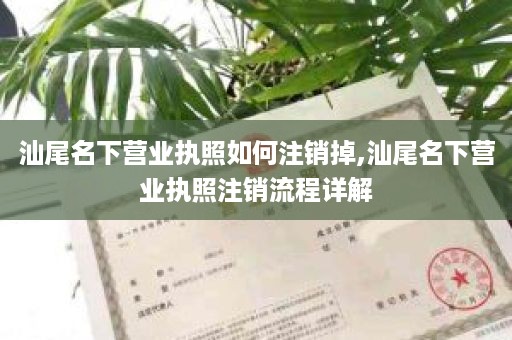 汕尾名下营业执照如何注销掉,汕尾名下营业执照注销流程详解