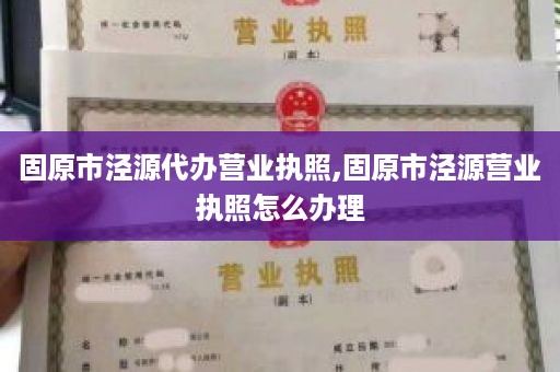 固原市泾源代办营业执照,固原市泾源营业执照怎么办理