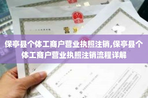 保亭县个体工商户营业执照注销,保亭县个体工商户营业执照注销流程详解