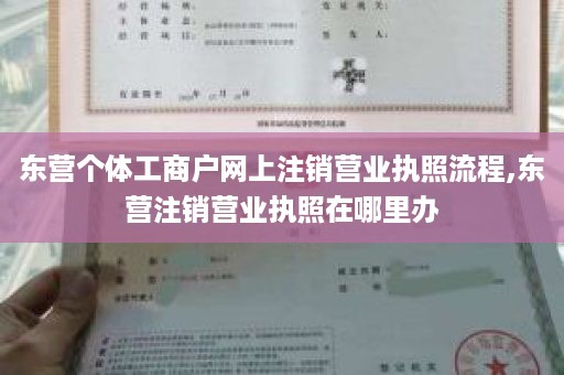 东营个体工商户网上注销营业执照流程,东营注销营业执照在哪里办