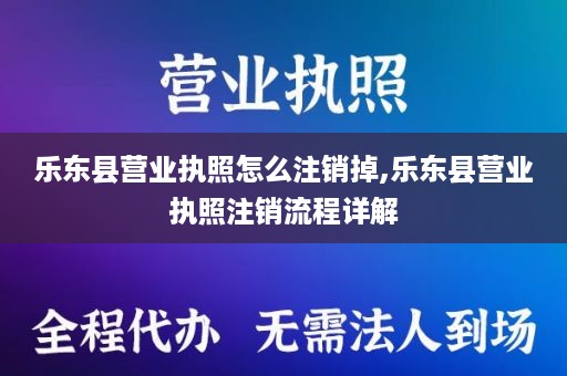 乐东县营业执照怎么注销掉,乐东县营业执照注销流程详解