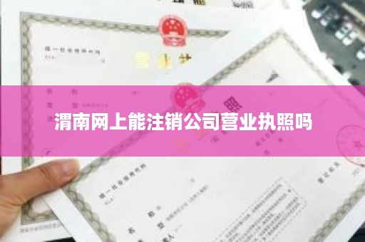 渭南网上能注销公司营业执照吗