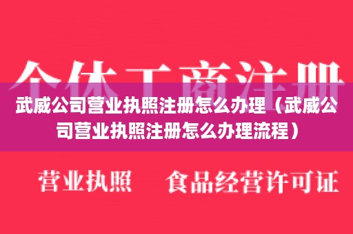 武威公司营业执照注册怎么办理（武威公司营业执照注册怎么办理流程）