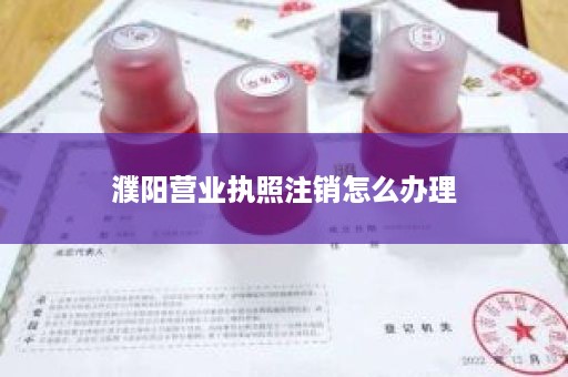 濮阳营业执照注销怎么办理