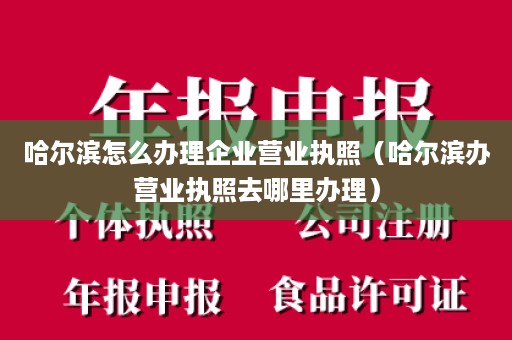 哈尔滨怎么办理企业营业执照（哈尔滨办营业执照去哪里办理）