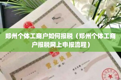 郑州个体工商户如何报税（郑州个体工商户报税网上申报流程）