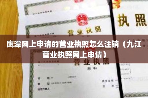 鹰潭网上申请的营业执照怎么注销（九江营业执照网上申请）