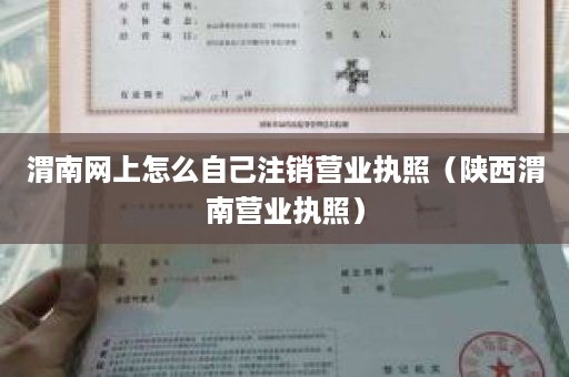 渭南网上怎么自己注销营业执照（陕西渭南营业执照）