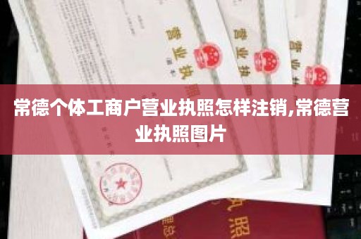 常德个体工商户营业执照怎样注销,常德营业执照图片