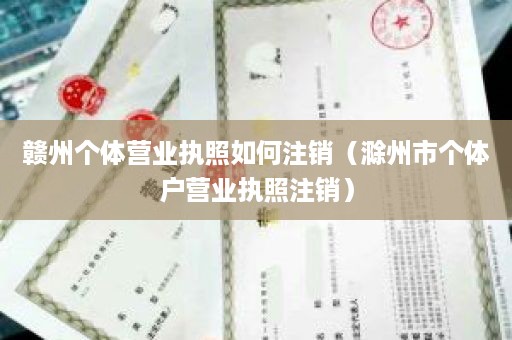 赣州个体营业执照如何注销（滁州市个体户营业执照注销）