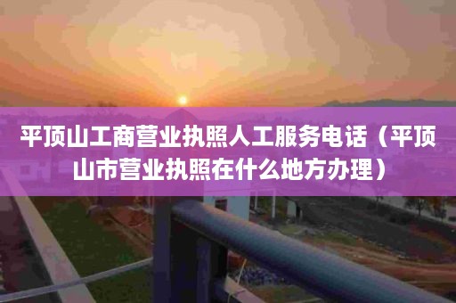 平顶山工商营业执照人工服务电话（平顶山市营业执照在什么地方办理）