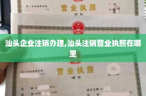 汕头企业注销办理,汕头注销营业执照在哪里