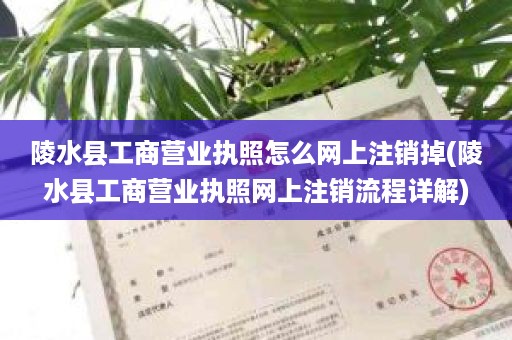 陵水县工商营业执照怎么网上注销掉(陵水县工商营业执照网上注销流程详解)