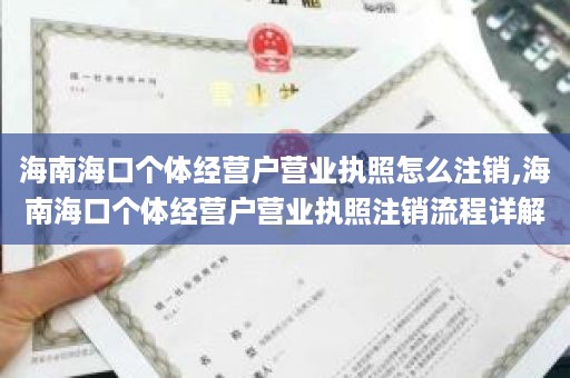 海南海口个体经营户营业执照怎么注销,海南海口个体经营户营业执照注销流程详解