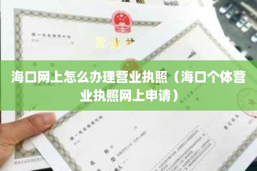 海口网上怎么办理营业执照（海口个体营业执照网上申请）