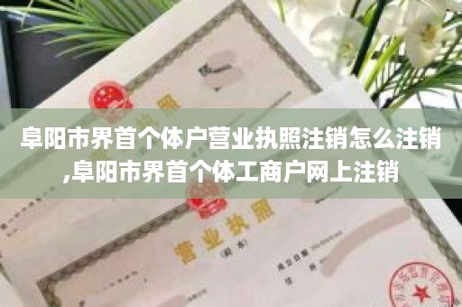 阜阳市界首个体户营业执照注销怎么注销,阜阳市界首个体工商户网上注销