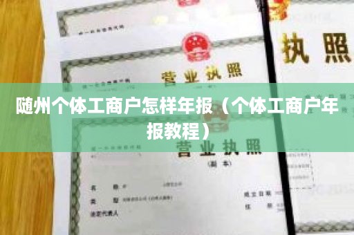 随州个体工商户怎样年报（个体工商户年报教程）