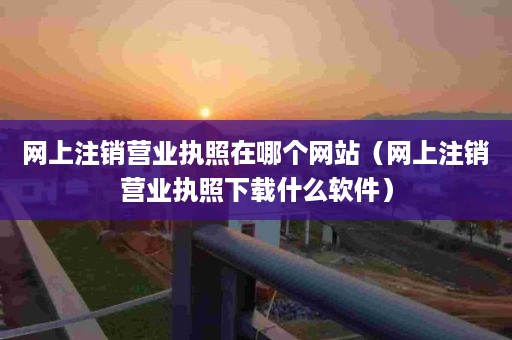 网上注销营业执照在哪个网站（网上注销营业执照下载什么软件）