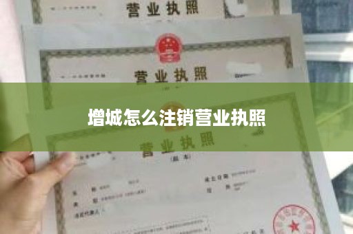 增城怎么注销营业执照