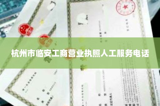 杭州市临安工商营业执照人工服务电话