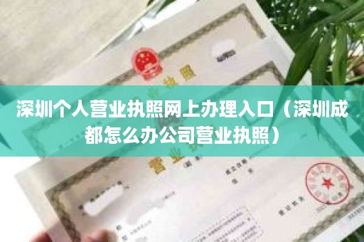 深圳个人营业执照网上办理入口（深圳成都怎么办公司营业执照）